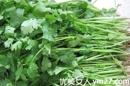 ����������:�Ƽ�11�������߲�(��ͼ)(1)_����Ƶ��_������