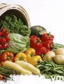 ����������:�Ƽ�11�������߲ˣ�