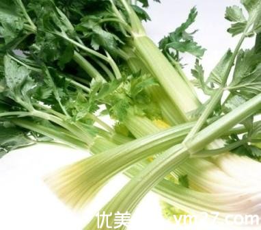 ����������:�Ƽ�11�������߲�(��ͼ)(1)_����Ƶ��_������