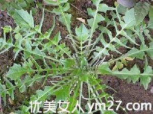 ����������:�Ƽ�11�������߲�(��ͼ)(1)_����Ƶ��_������